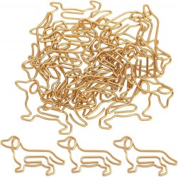 Nessuna immagine impostata 